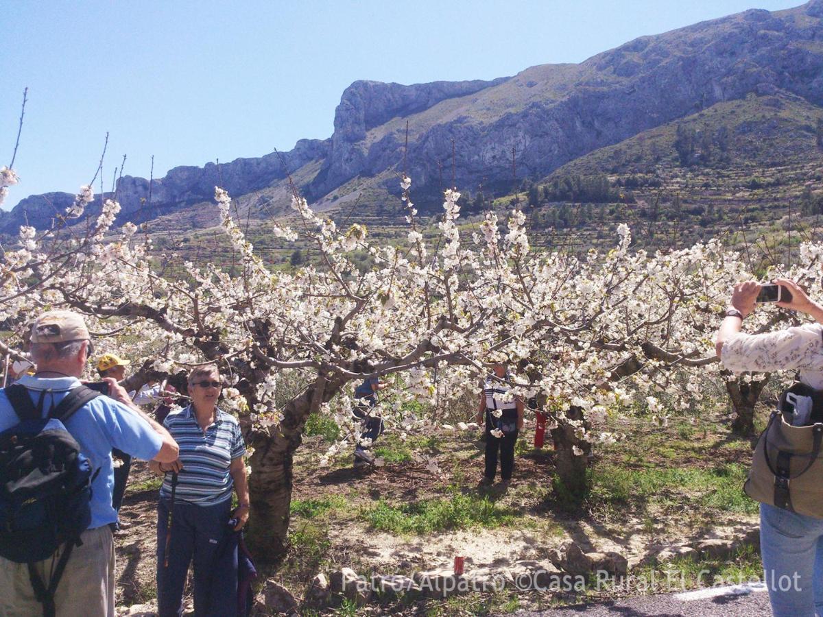 Aparthotel Buhardilla Rustica En La Vall De Gallinera Patró Exteriér fotografie