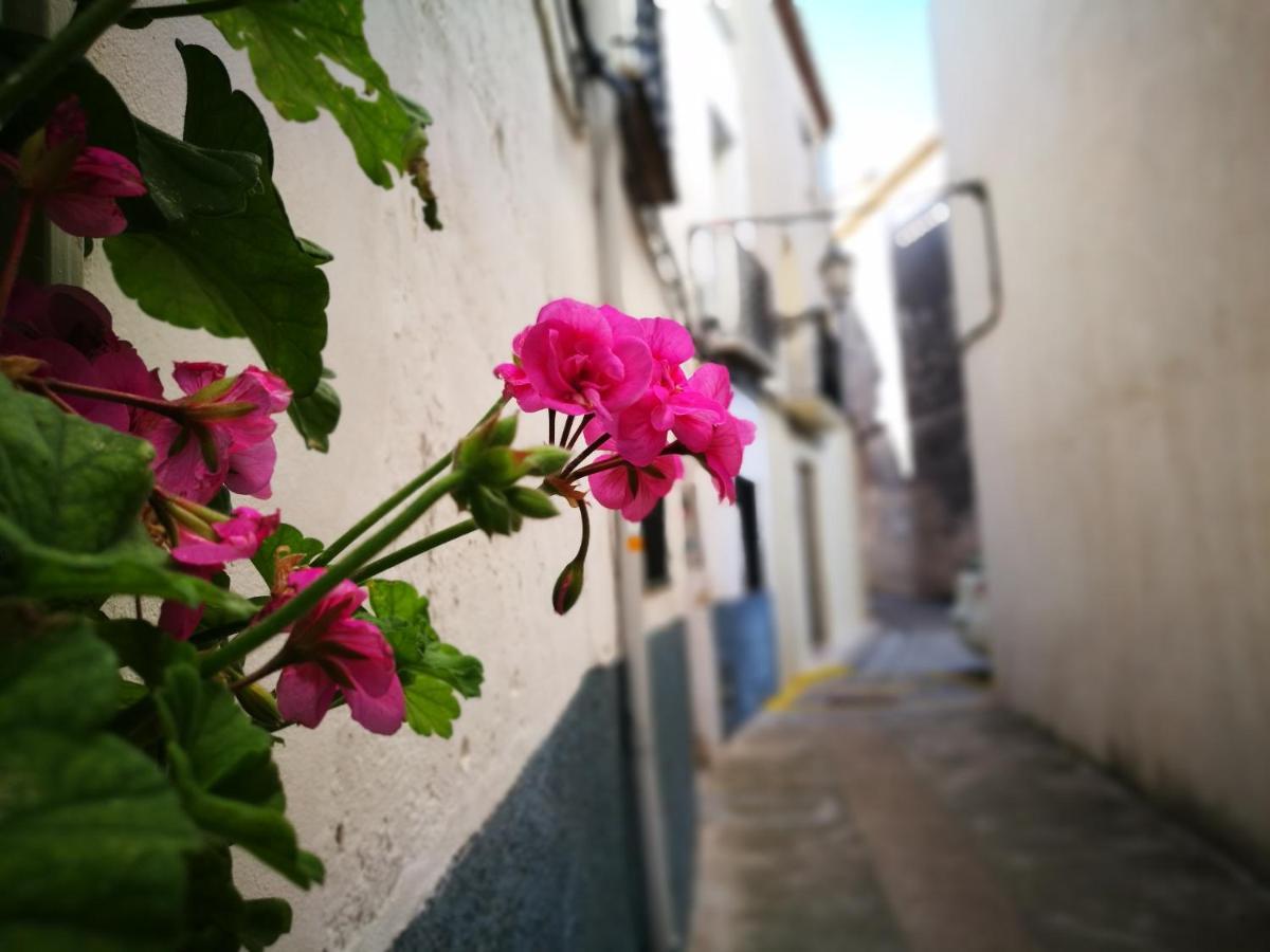 Aparthotel Buhardilla Rustica En La Vall De Gallinera Patró Exteriér fotografie